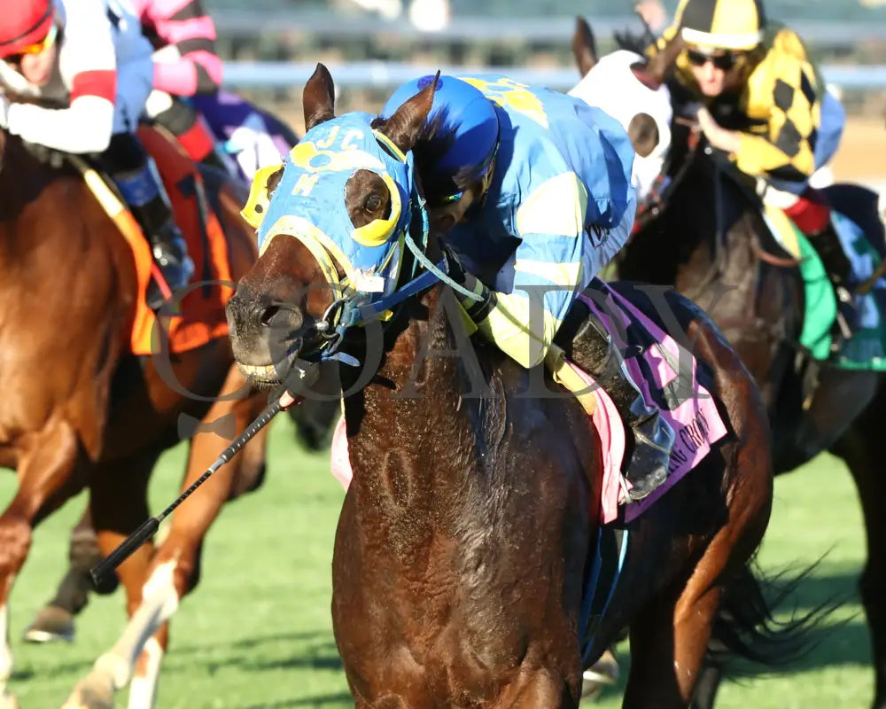 Voodoo Zip - The Canterbury Claiming Crown #6 11-16-24 R08 Cd Inside Finish 01 Churchill Downs