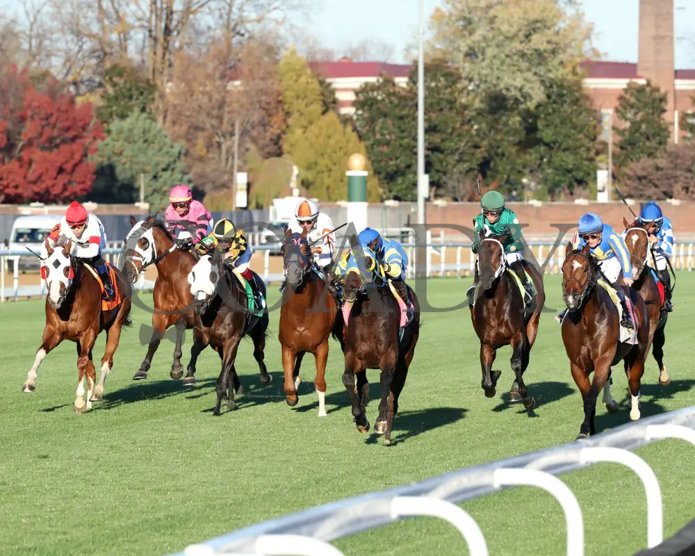 Voodoo Zip - The Canterbury Claiming Crown #6 11-16-24 R08 Cd Inside Finish 02 Churchill Downs