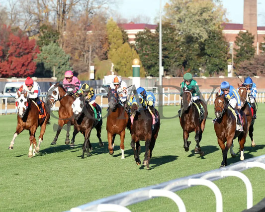 Voodoo Zip - The Canterbury Claiming Crown #6 11-16-24 R08 Cd Inside Finish 02 Churchill Downs