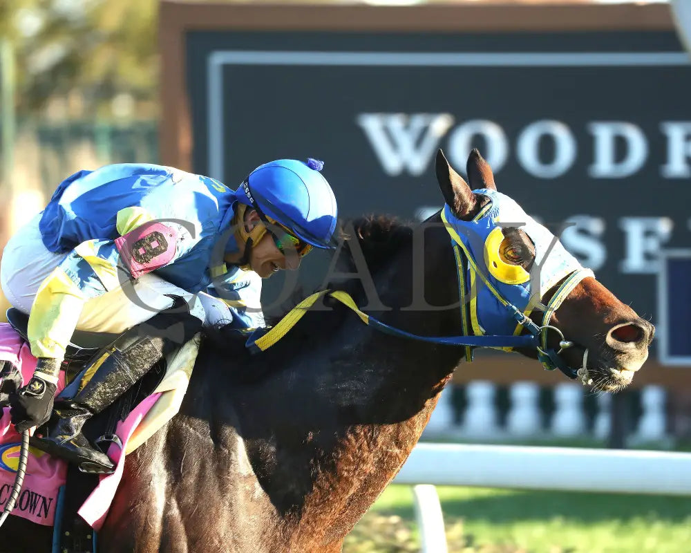Voodoo Zip - The Canterbury Claiming Crown #6 11-16-24 R08 Cd Tight Finish 01 Churchill Downs