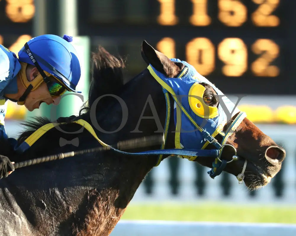 Voodoo Zip - The Canterbury Claiming Crown #6 11-16-24 R08 Cd Tight Finish 02 Churchill Downs