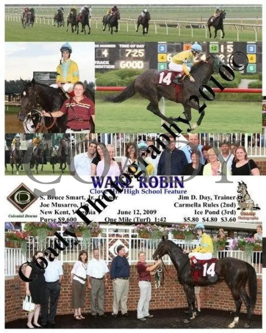 Wake Robin - Clove Hill High School Feature Colonial Downs
