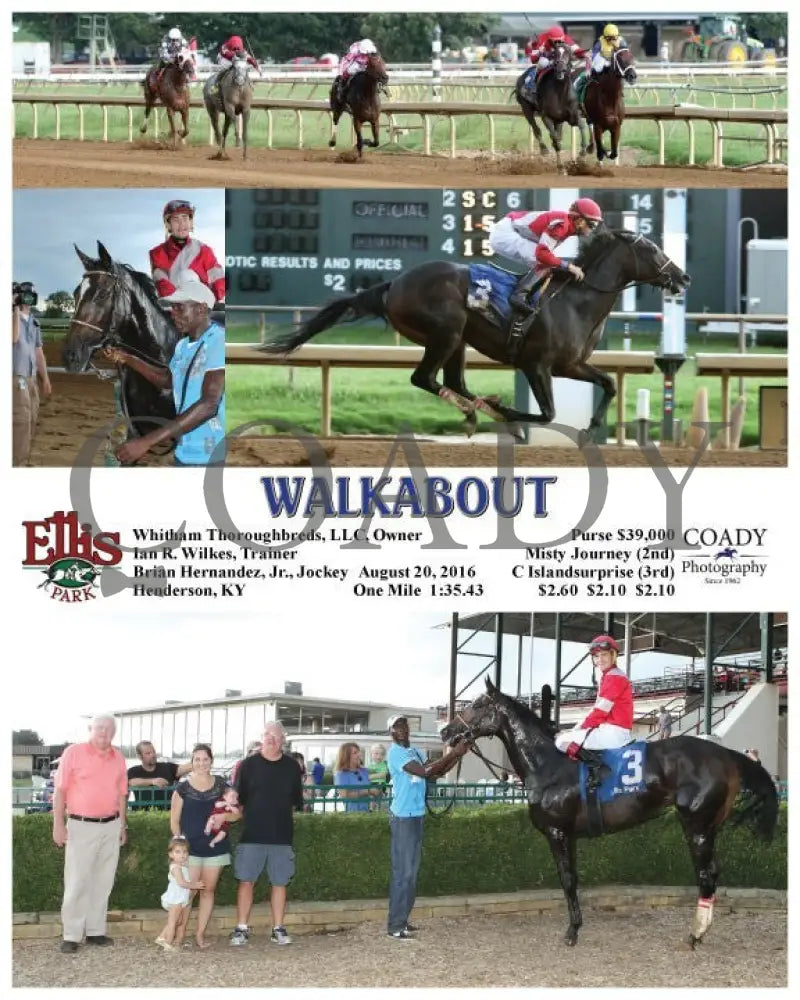 Walkabout - 082016 Race 08 Elp Ellis Park