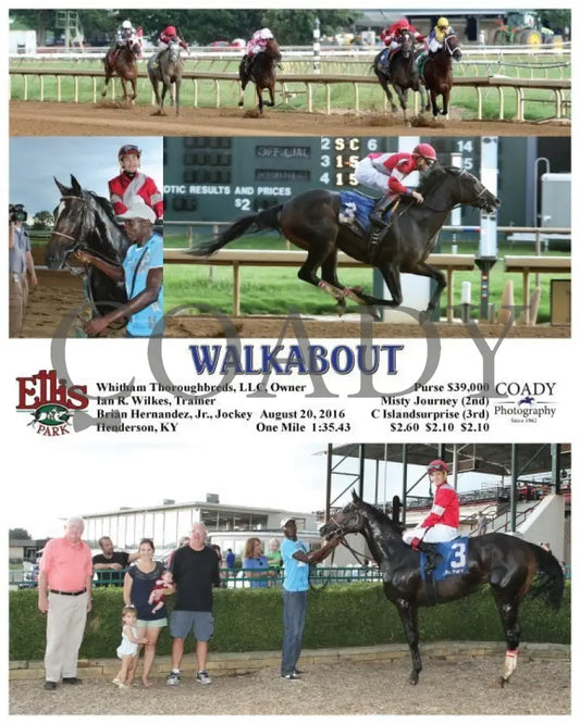 Walkabout - 082016 Race 08 Elp Ellis Park