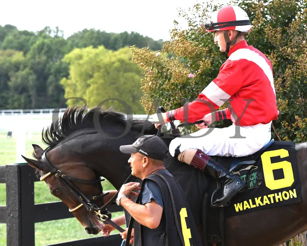 Walkathon - The Kentucky Downs Ladies Turf G3 08-31-24 R10 Kd Paddock 01