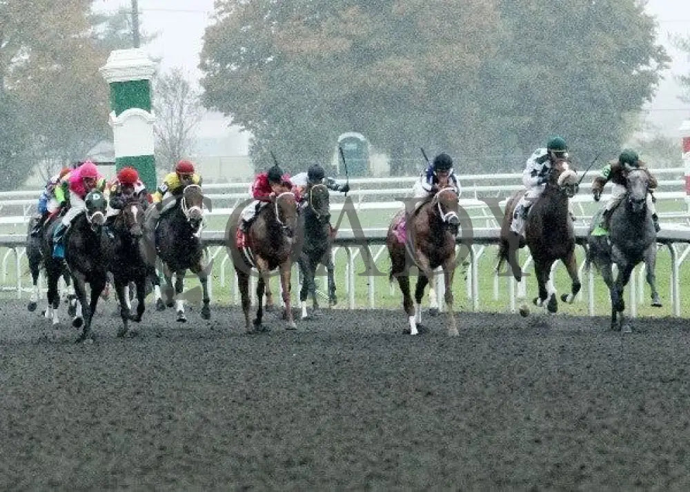 Waltzinginredjeans - 1 101911 Race 01 Keeneland