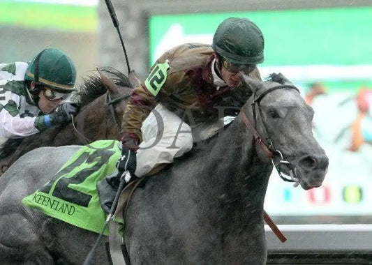 Waltzinginredjeans - 2 101911 Race 01 Keeneland