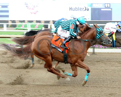 RR LOTTA RUNFORROBYN - Adequan Derby Challenge Finals - 09-16-25 - R11 - Horseshoe Indiana - Finish 01 - Sammantha