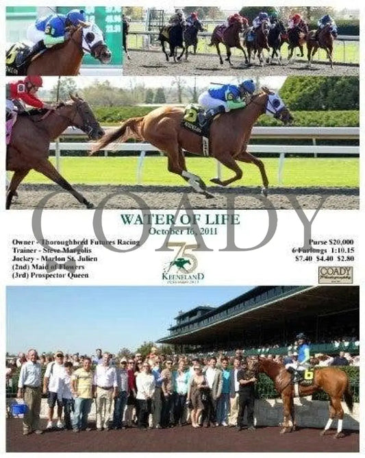 Water Of Life - 101611 Keeneland