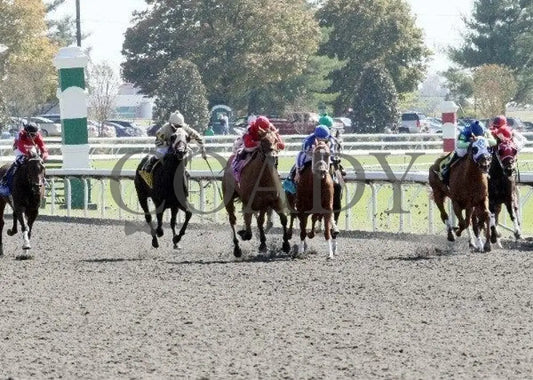 Water Of Life - 2 101611 Race 02 Keeneland