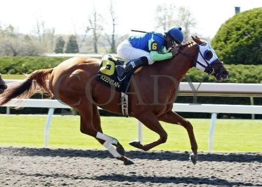 Water Of Life - 3 101611 Race 02 Keeneland