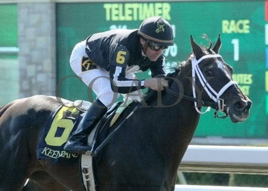 Water Of Life - 4 101611 Race 02 Keeneland