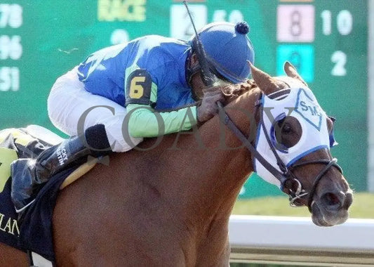 Water Of Life - 5 101611 Race 02 Keeneland