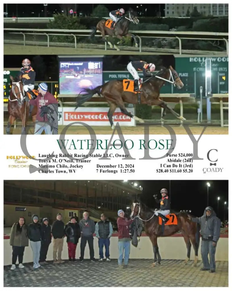 Waterloo Rose - 12-12-24 R04 Ct Hollywood Casino At Charles Town Races