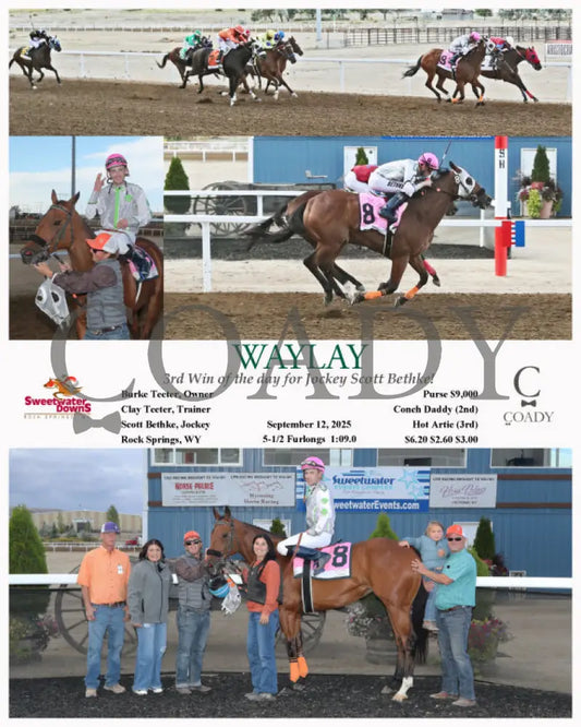 WAYLAY - 3rd Win of the day for Jockey Scott Bethke! - 09-12-25 - R04 - SWF - Coady Media - Kurtis Coady Photography