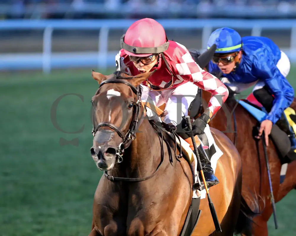 Webslinger - The Chorleywood Overnight Stakes 2Nd Running 06-15-24 R07 Cd Inside Finish 01