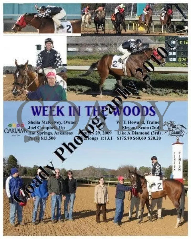 Week In The Woods - 1 29 2009 Oaklawn Park