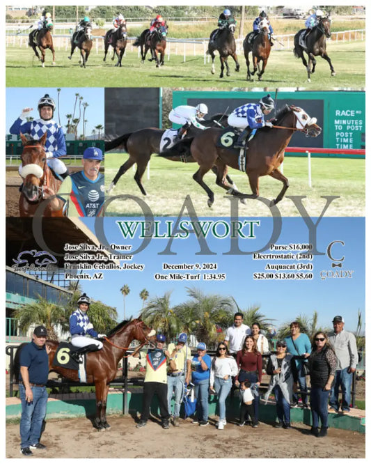 Wellswort - 12-09-24 R04 Tup Turf Paradise