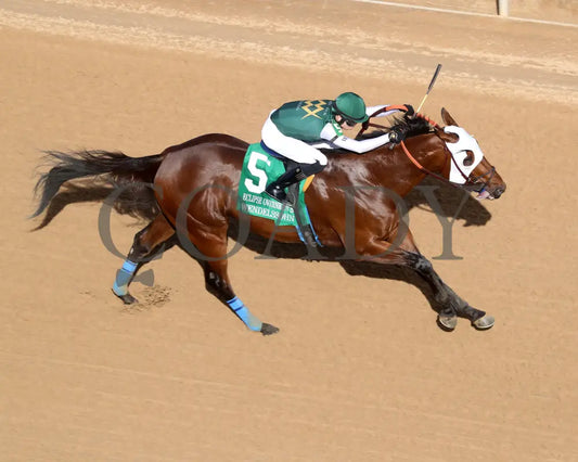 WENDELSSOHN - Eclipse Overnight Stakes - 2nd Running - 03-29-25 - R10 - Aerial 01 - Coady Media - Kurtis Coady Photography