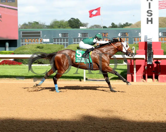 WENDELSSOHN - Eclipse Overnight Stakes - 2nd Running - 03-29-25 - R10 - Finish 01 Oaklawn Park