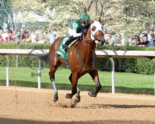 WENDELSSOHN - Eclipse Overnight Stakes - 2nd Running - 03-29-25 - R10 - Finish 02 Oaklawn Park