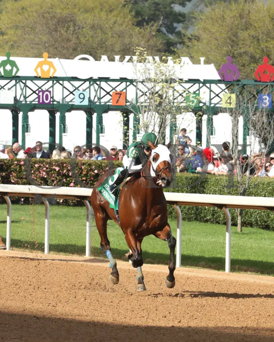 WENDELSSOHN - Eclipse Overnight Stakes - 2nd Running - 03-29-25 - R10 - Finish 04 Oaklawn Park