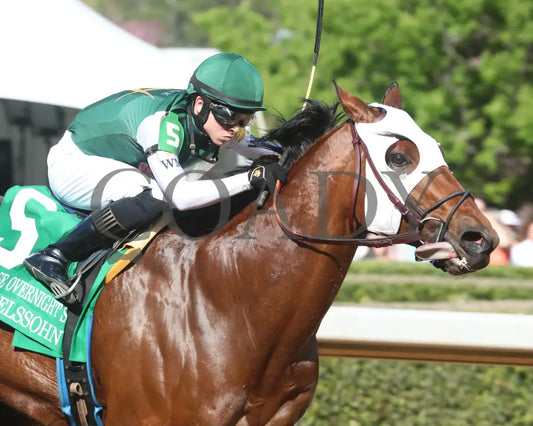 WENDELSSOHN - Eclipse Overnight Stakes - 2nd Running - 03-29-25 - R10 - Finish 03 Oaklawn Park