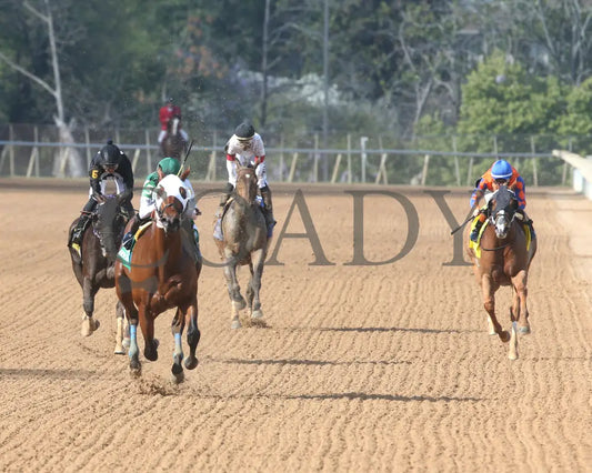 WENDELSSOHN - Eclipse Overnight Stakes - 2nd Running - 03-29-25 - R10 - Head On 01 Oaklawn Park