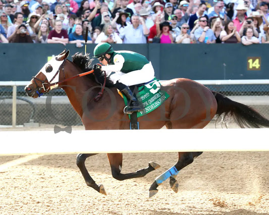 WENDELSSOHN - Eclipse Overnight Stakes - 2nd Running - 03-29-25 - R10 - Inside Finish 01 Oaklawn Park