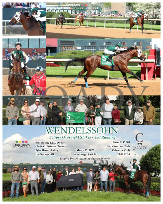 WENDELSSOHN - Eclipse Overnight Stakes - 2nd Running - 03-29-25 - R10 - OP Oaklawn Park