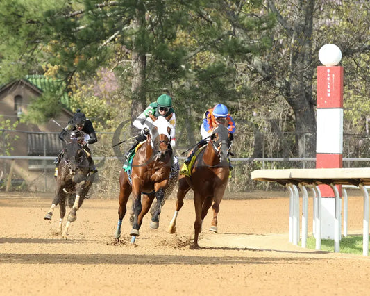 WENDELSSOHN - Eclipse Overnight Stakes - 2nd Running - 03-29-25 - R10 - Turn 01 Oaklawn Park