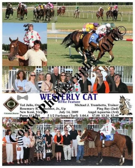 Westerly Cat - Bfre Feature 7 14 2009 Colonial Downs