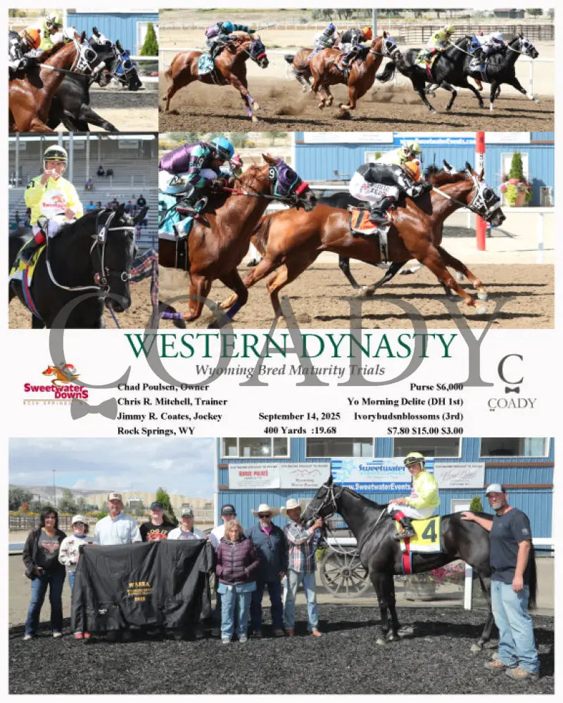 WESTERN DYNASTY - 091425 - Race 04 - SWF  Wyoming Bred Maturity Trials Chad Poulsen, Owner  Chris R. Mitchell, Trainer  Jimmy R. Coates, Jockey  $7.80 $15.00 $3.00  400 Yards  Purse $6,000 (Copy) - Coady Media - Kurtis Coady Photography