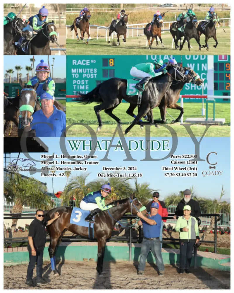 What A Dude - 12-03-24 R08 Tup Turf Paradise