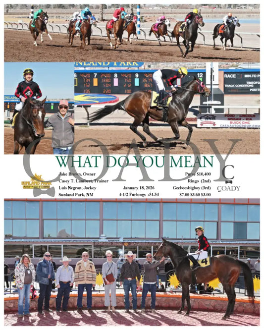 WHAT DO YOU MEAN - 01-18-26 - R01 - SUN - Coady Media - Kurtis Coady Photography