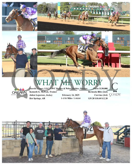 WHAT ME WORRY - 02-24-25 - R06 - OP Oaklawn Park