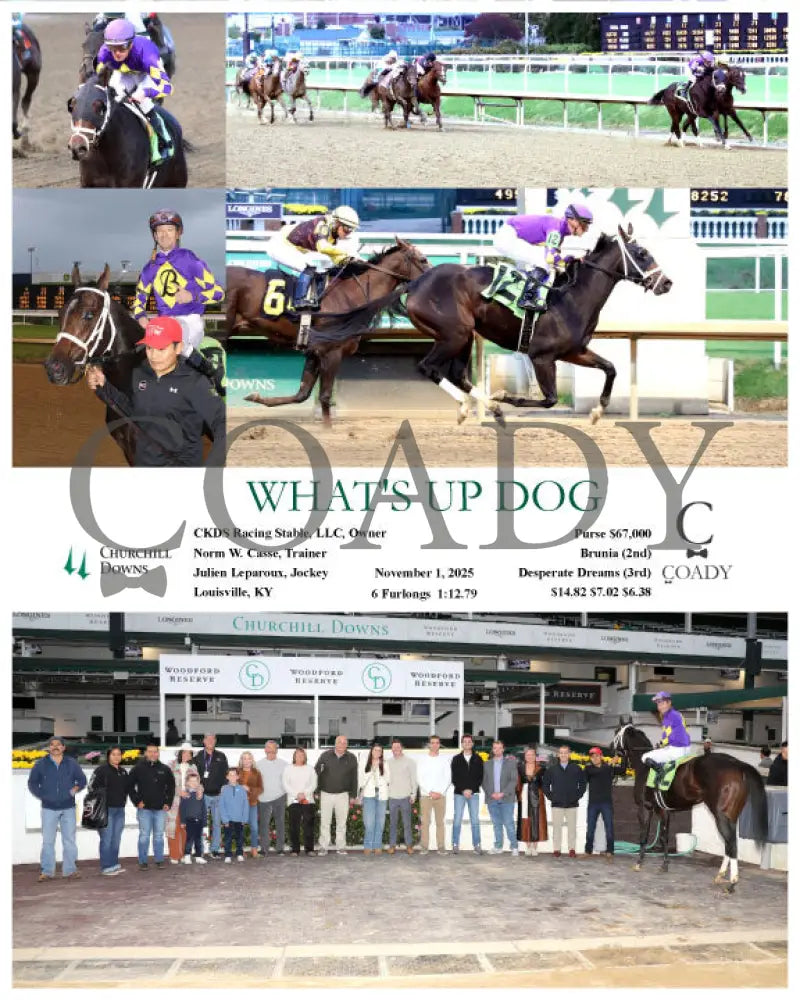 WHAT’S UP DOG - 11-01-25 - R09 - CD Keeneland