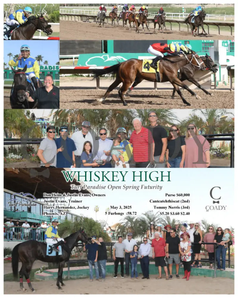 WHISKEY HIGH - Turf Paradise Open Spring Futurity - 05-03-25 - R09 - TUP Turf Paradise