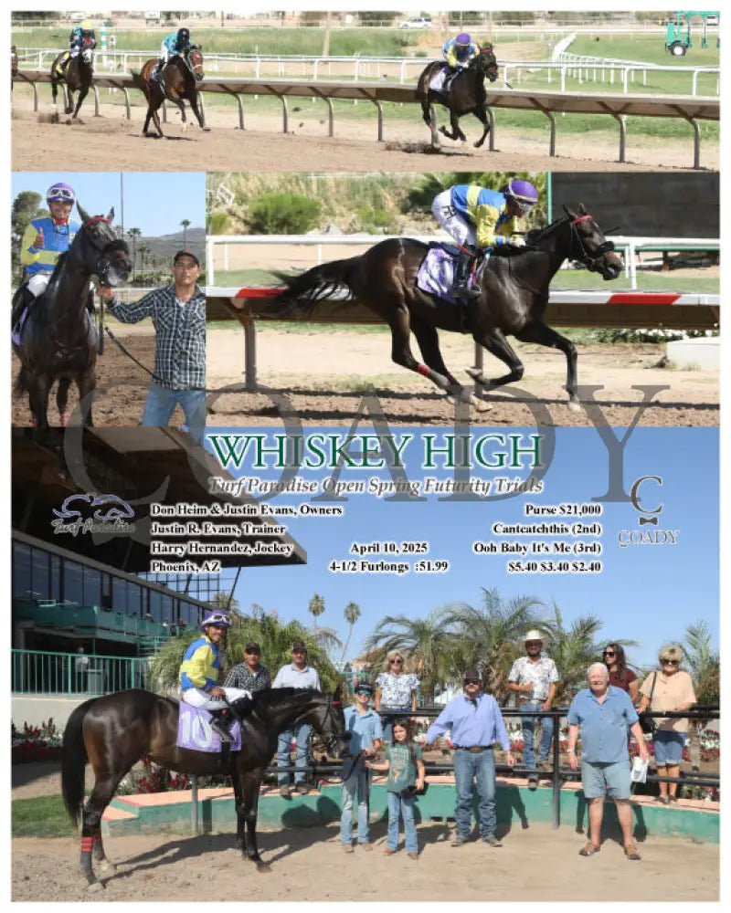 WHISKEY HIGH - Turf Paradise Open Spring Futurity Trials - 04-10-25 - R06 - TUP Turf Paradise