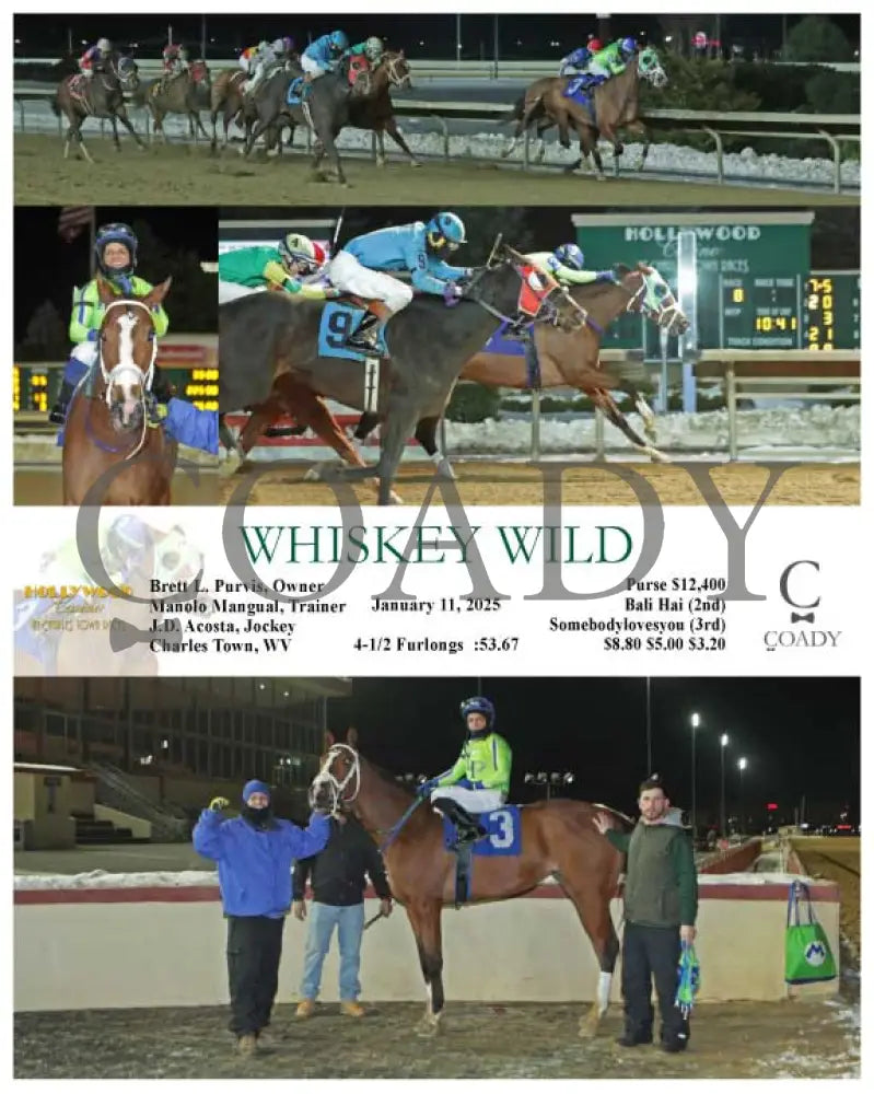 Whiskey Wild - 01-11-25 R08 Ct Hollywood Casino At Charles Town Races