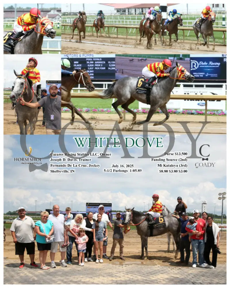 WHITE DOVE - 07-16-25 - R02 - IND Indiana Grand