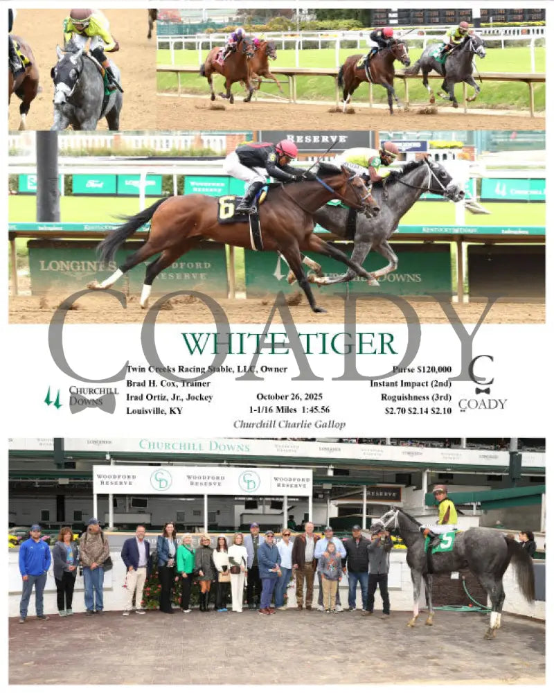 WHITE TIGER - 102625 - Race 05 - CD Keeneland