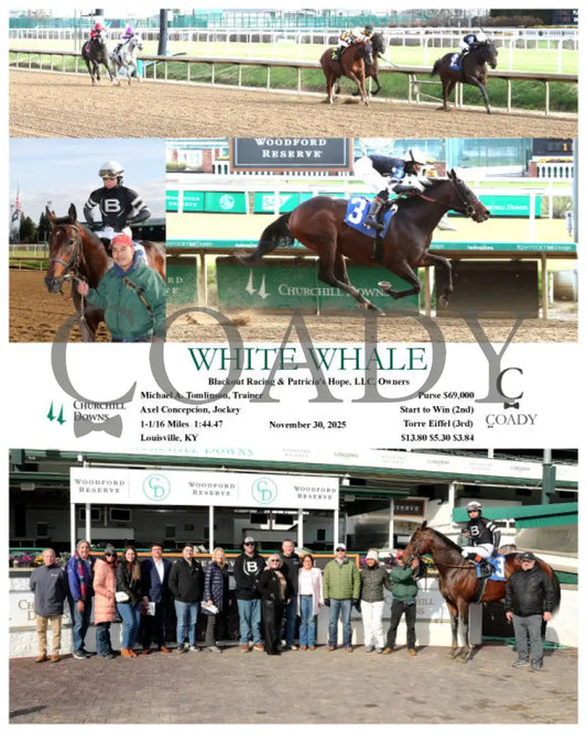 WHITE WHALE - 11-30-25 - R01 - CD - Coady Media - Kurtis Coady Photography