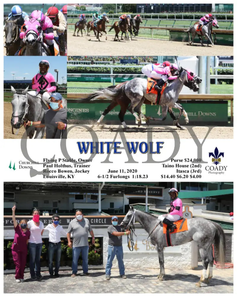 White Wolf - 06-11-20 R04 Cd Churchill Downs