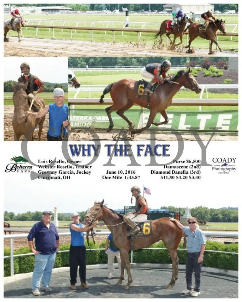 Why The Face - 061016 Race 02 Btp Belterra Park