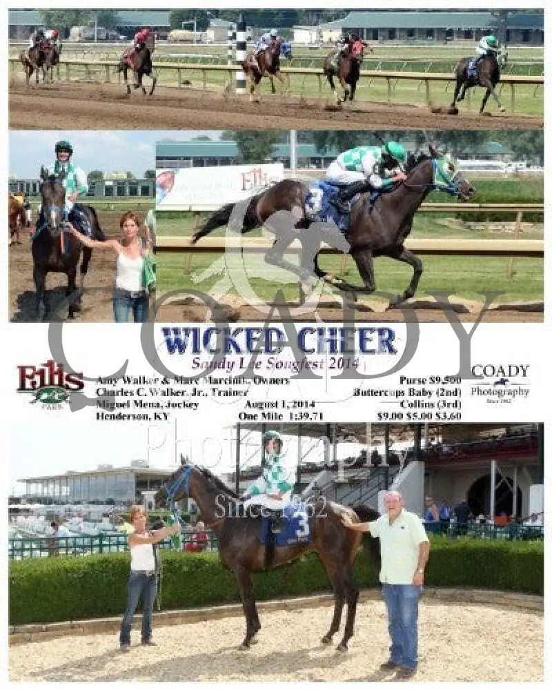 Wicked Cheer - 080114 Race 06 Elp Ellis Park