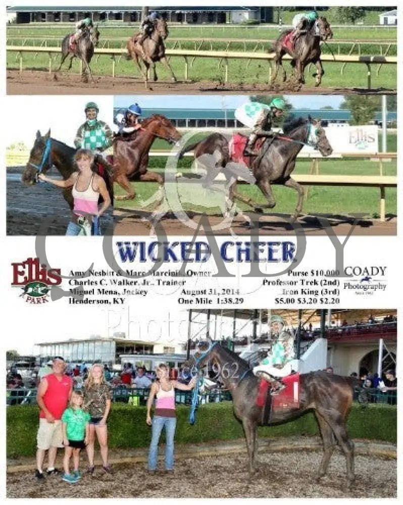 Wicked Cheer - 083114 Race 08 Elp Ellis Park