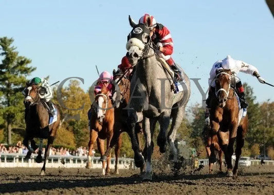 Wickedly Perfect - Darley Alcibiades Keeneland