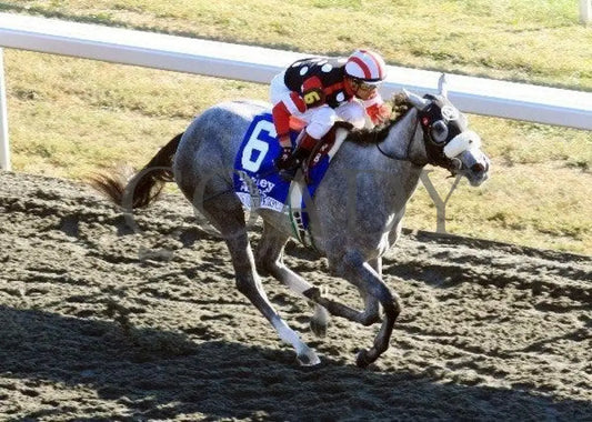 Wickedly Perfect - Darley Alcibiades Keeneland