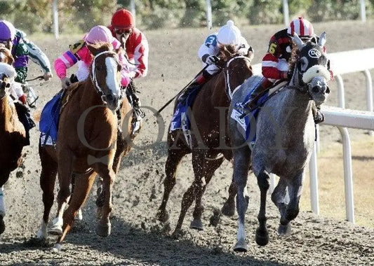 Wickedly Perfect - Darley Alcibiades Keeneland